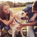 愛犬を落ち着かせる…