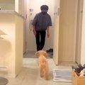 犬に『知らない人が…