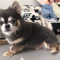 知らん！おかわりく…