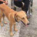 半身不随の男性の車…