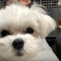 成長早すぎじゃね？2…