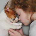 我が家の犬は？犬が…