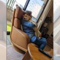 「産んだつもりはな…