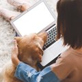 犬を飼うのに『必要…