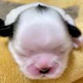 『誰が想像できた？…