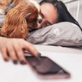 犬が飼い主に顔を擦…