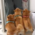 『お兄ちゃん、帰っ…