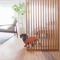愛犬家必見！リノベ…