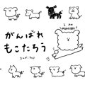 がんばれ　もこたろ…