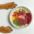 犬に『人間の食べ物…