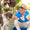犬に絶対NGな『秋の…