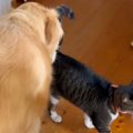 朝『無断外泊をした…
