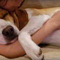 腕の中で眠る姿があ…