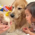『2匹の赤ちゃん子猫…