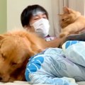 風邪をひいて寝込む…