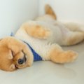 何してるんだろう？…
