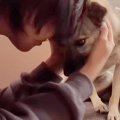 処分寸前だった『悲…