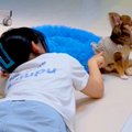 名前を呼んでもそっ…