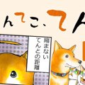 てんてこ、てん。【…