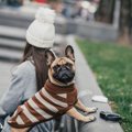 冬に犬の散歩をする…