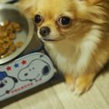 意外に知られていな…
