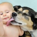 犬にも『母性』はあ…