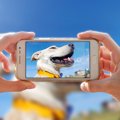 愛犬の動画をかわい…