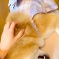 離れて暮らす娘が家…