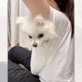「あれ？思ってたん…