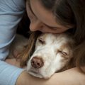 犬に「この人なら安…