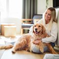 犬が『飼い主に寄り…