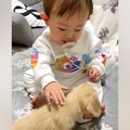 赤ちゃんが『子犬と…