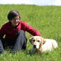 犬は障害を持つ人と…