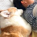 犬が『男の子のお昼…