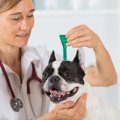 予防薬の投薬期間は…