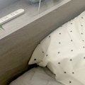 朝、トイレをしてベ…