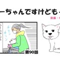 ちーちゃんですけど…