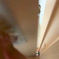 犬に気づかれないよ…