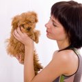犬が『気まずいなぁ…