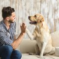 犬は平均８９語の言…