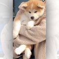 【話題】半年でこん…