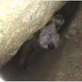 岩に挟まり６日間も…