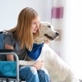 介助犬がもたらす心…