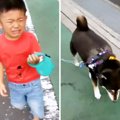 犬の散歩中、叱られ…