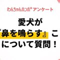 【アンケート実施中…