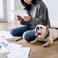 損してるかも？愛犬…