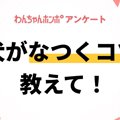 【アンケート実施中…