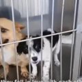 ひき逃げで大きなケ…