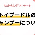 【アンケート実施中…