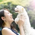 犬と暮らして気付く…